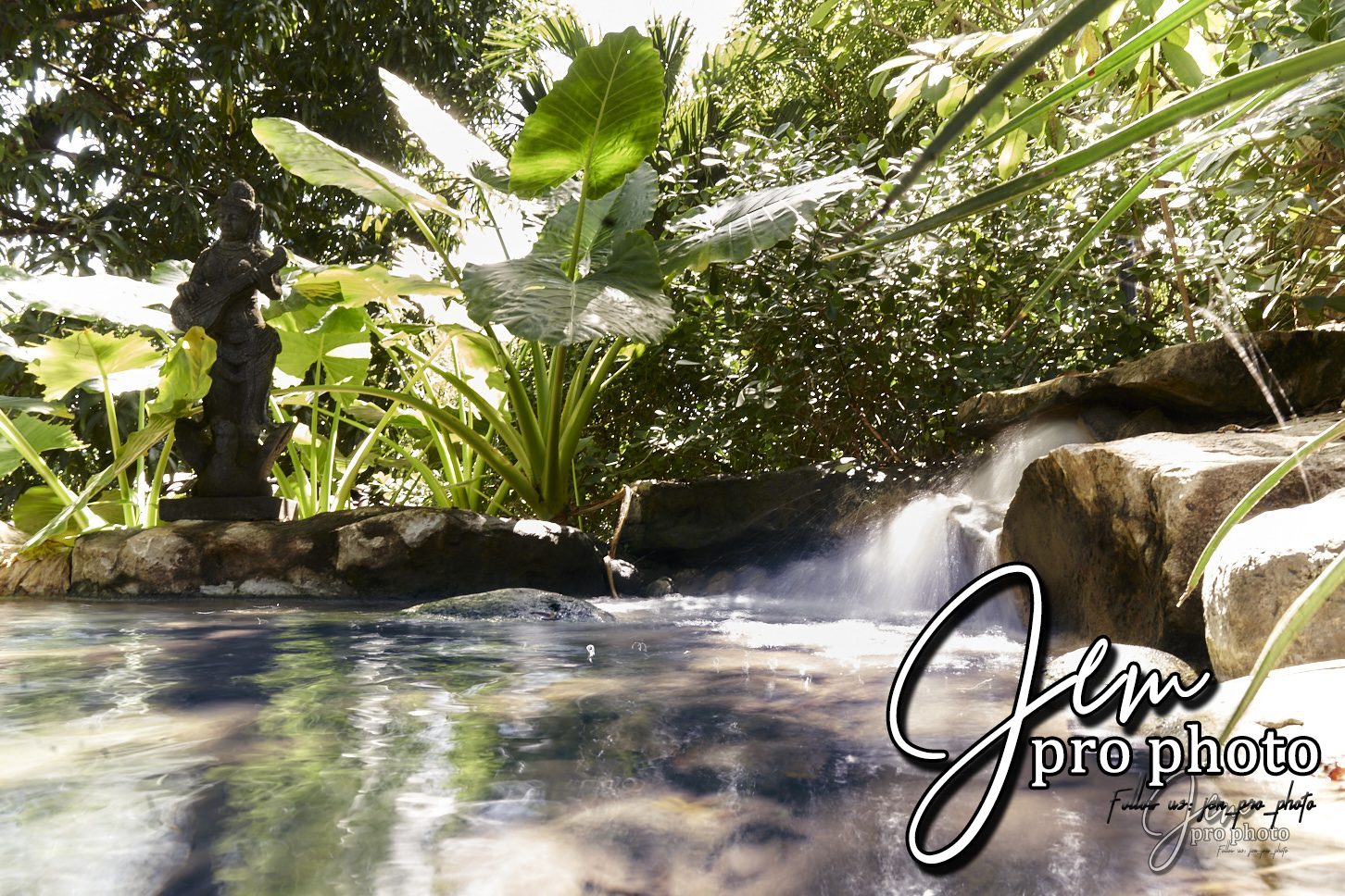 Cascade dans une végétation tropicale