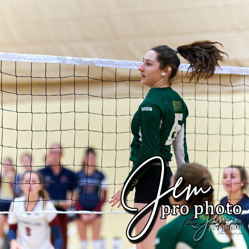 Volleyball : attaque au filet