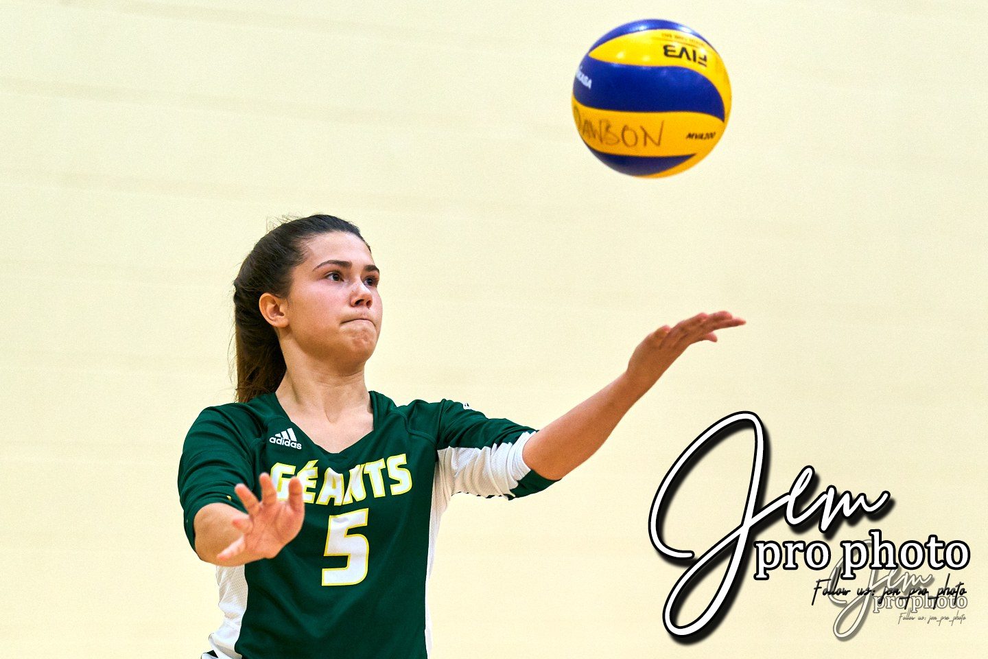 Volleyball : le service