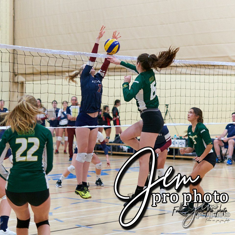 Volleyball : bloc