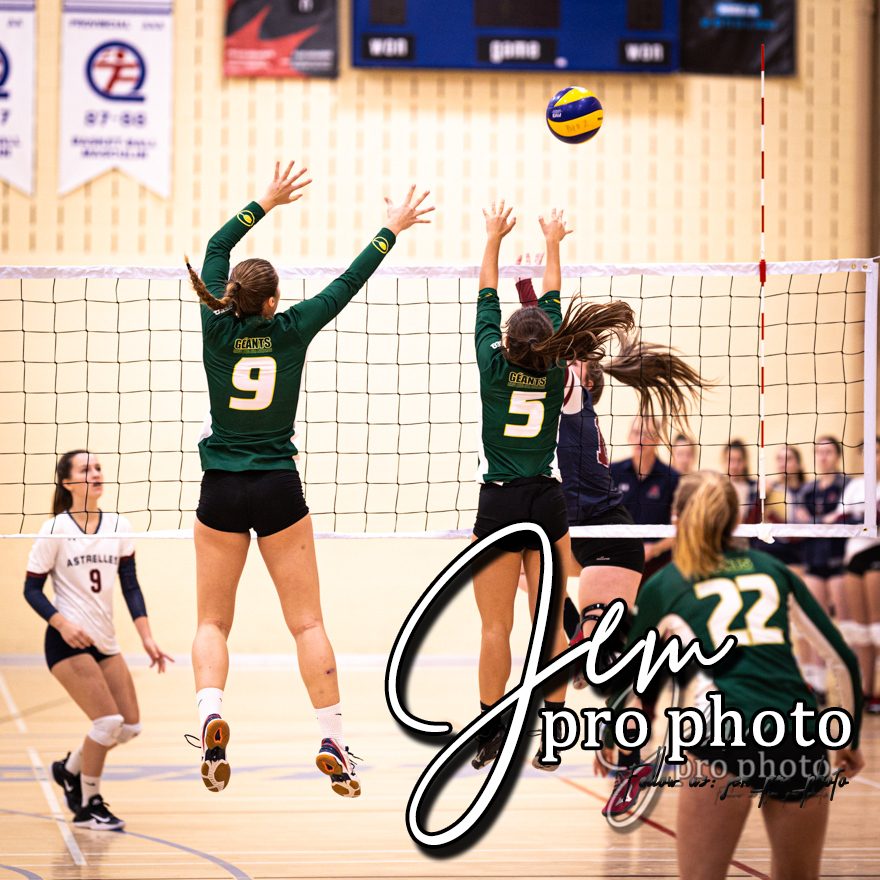 Volleyball : bloc à deux