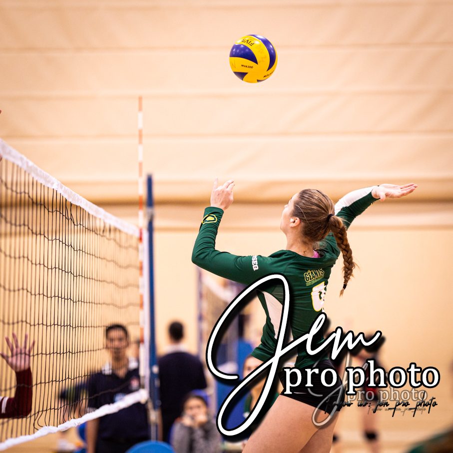 Volleyball : service