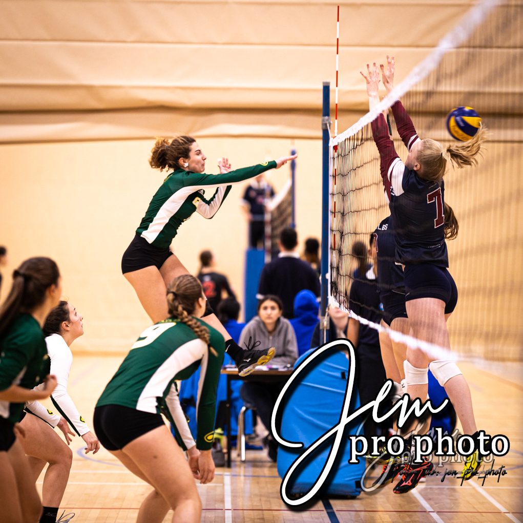Volleyball : bloc au filet